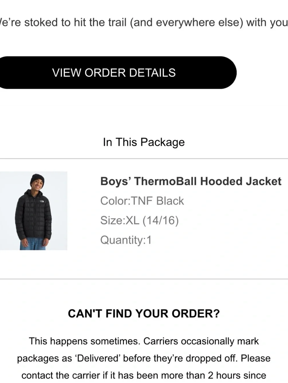 The North Face lightweight insulated